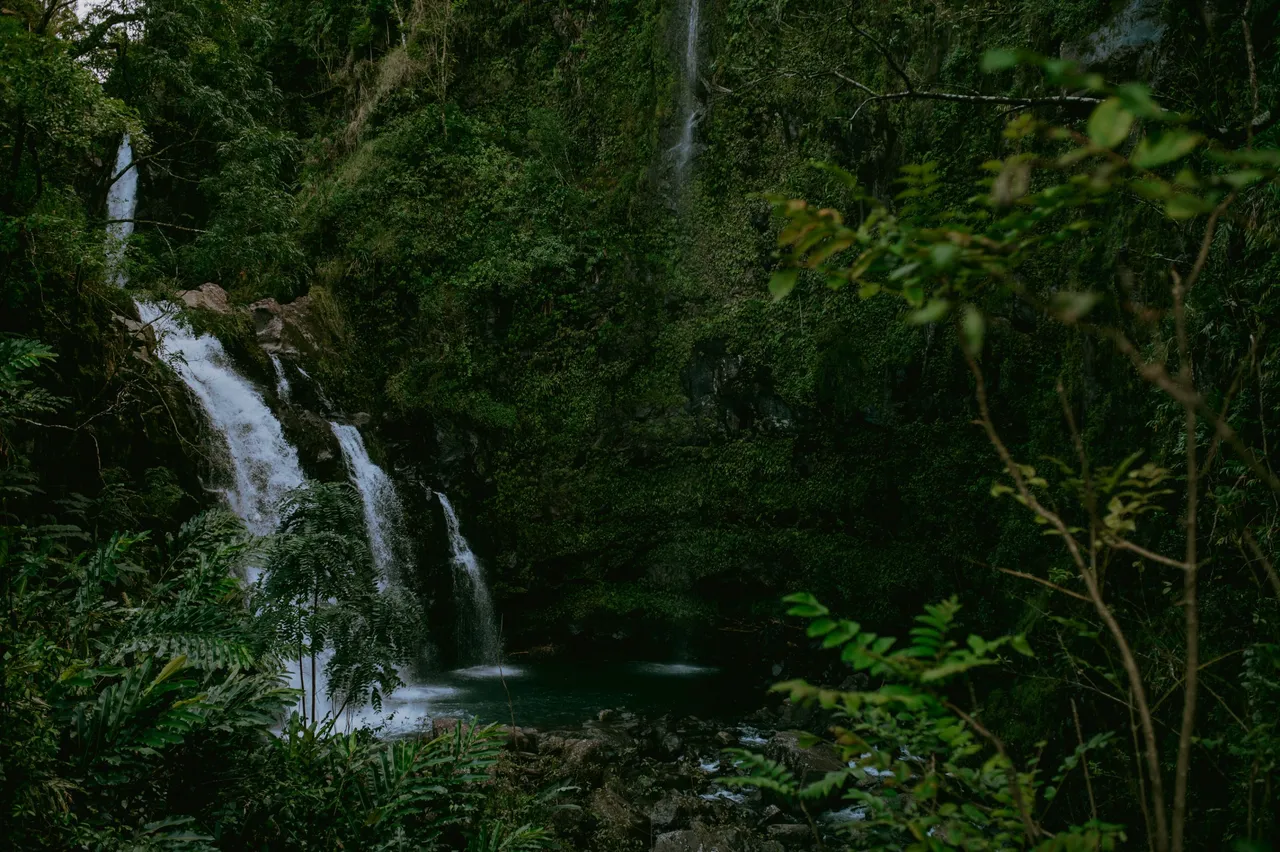 Hawaii 2023-169.jpg