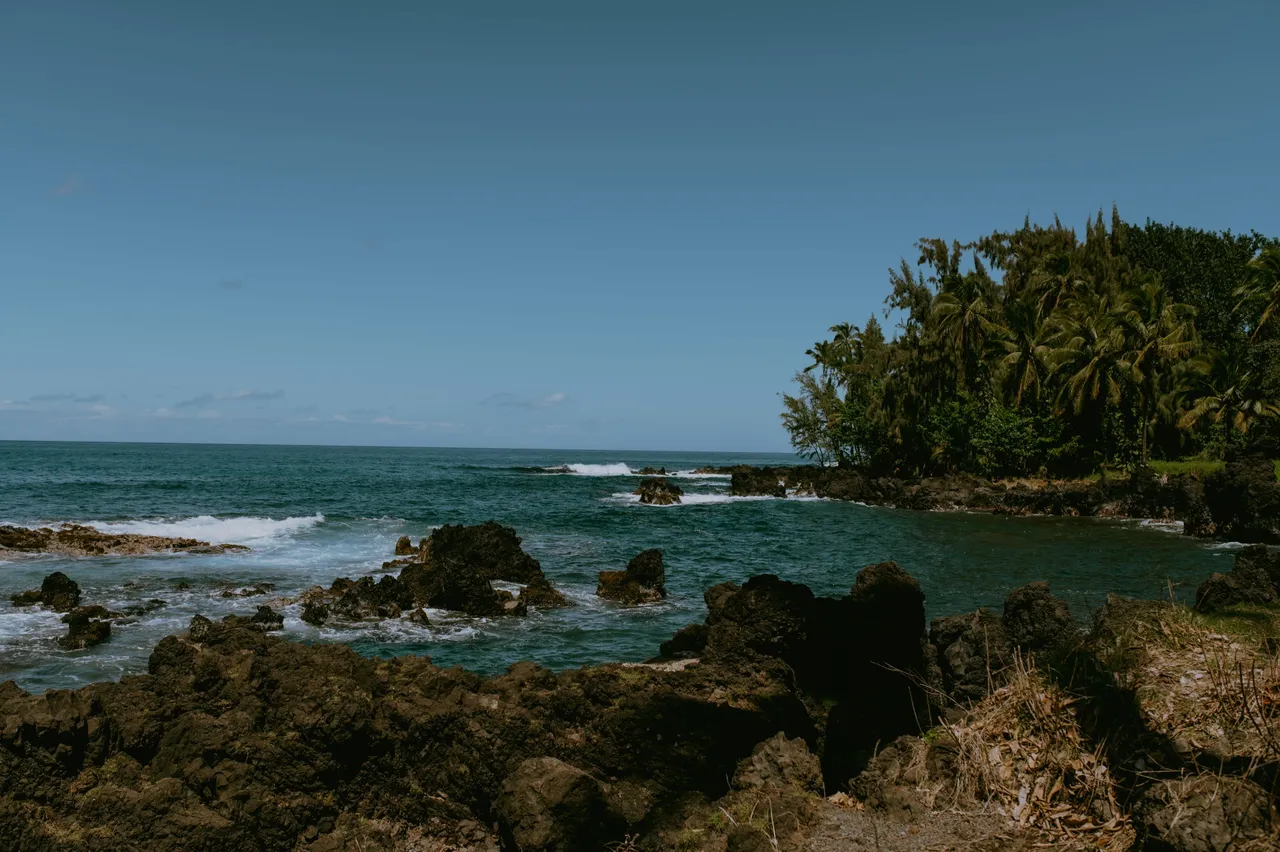 Hawaii 2023-128.jpg