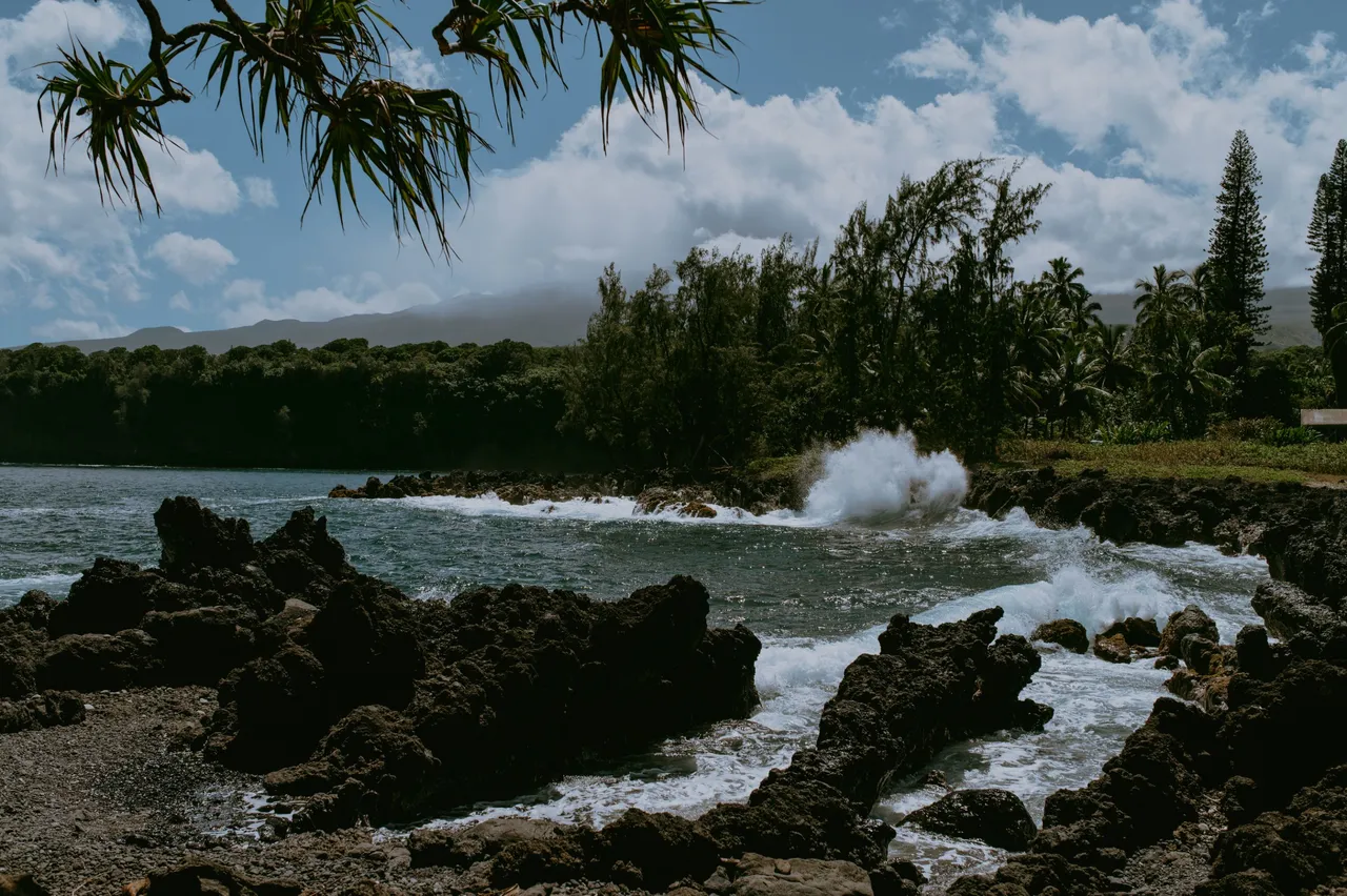 Hawaii 2023-129.jpg