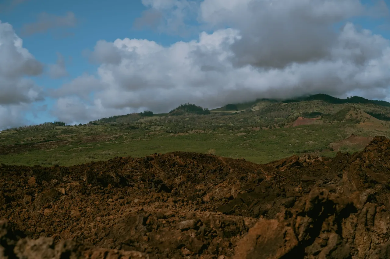 Hawaii 2023-60.jpg