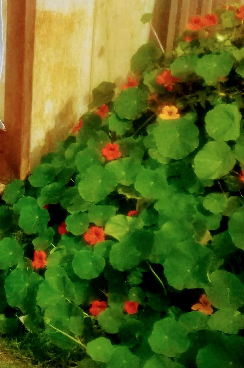 20210924_092348.jpg