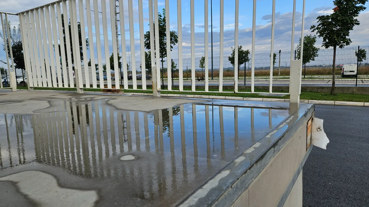 20230830_074301.jpg