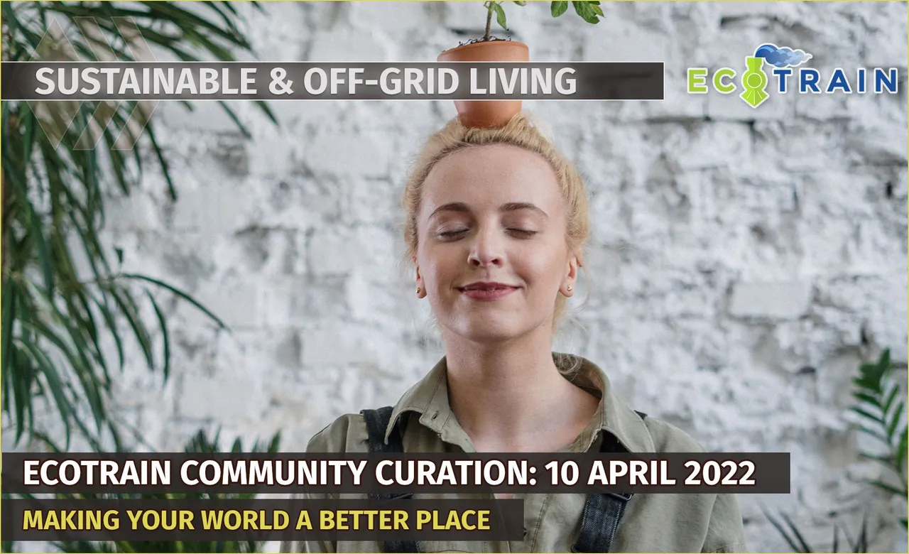 curation-april10.jpg
