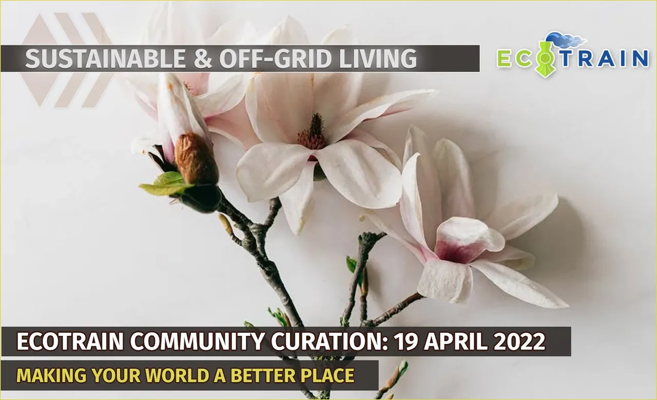 curation-april19.jpg