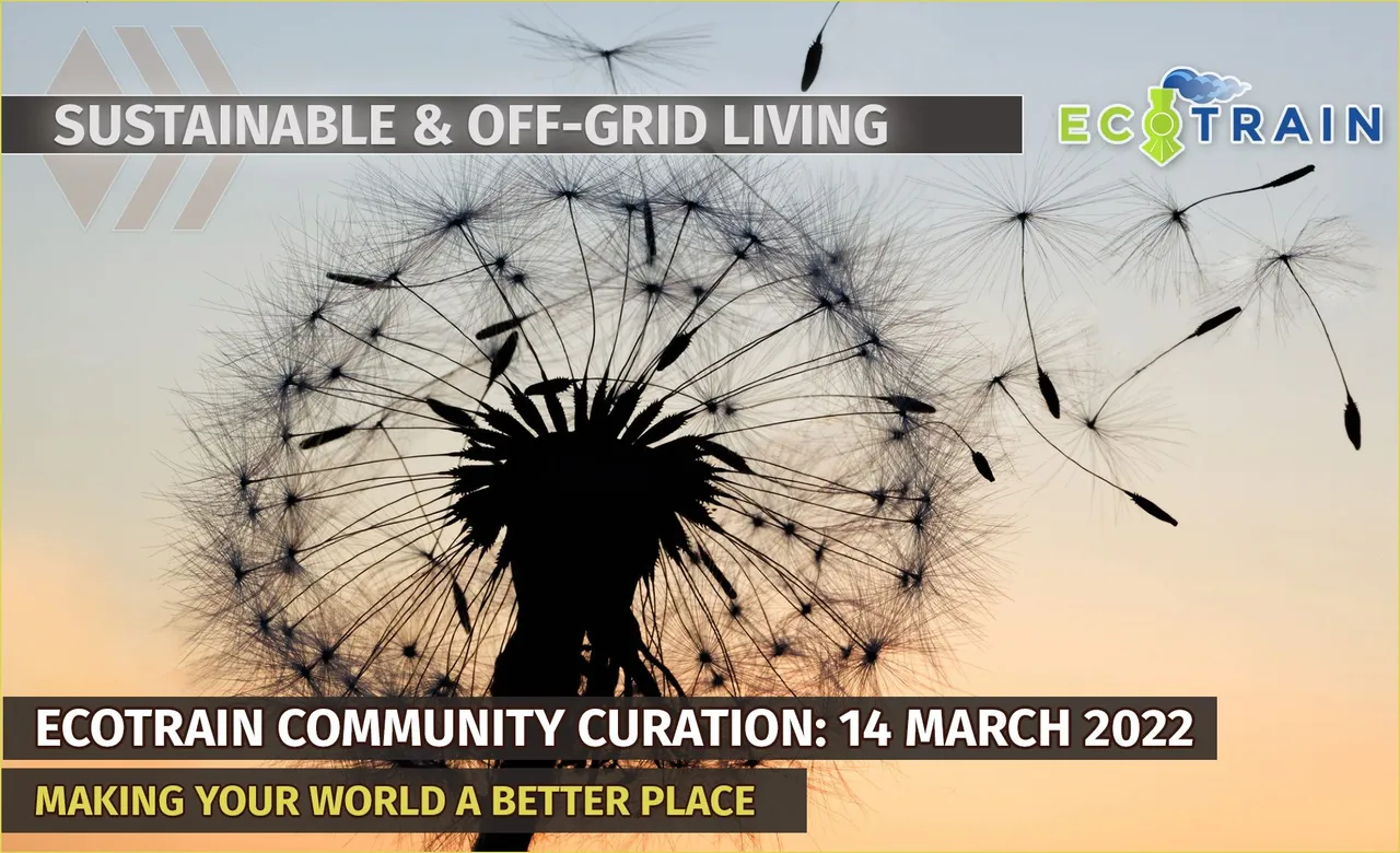 curation-march.jpg