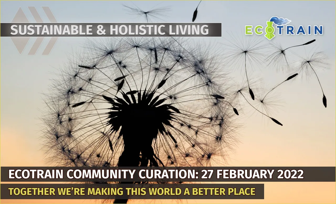 curation-feb27.jpg
