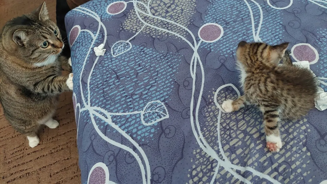 20220807_124914.jpg