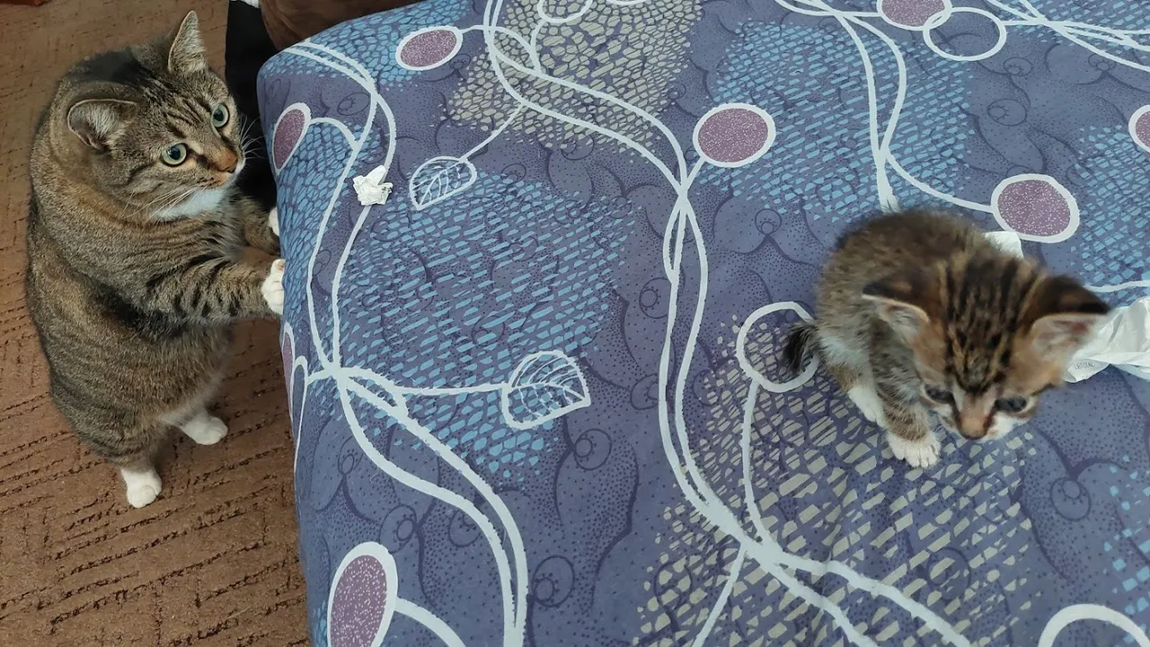 20220807_124904.jpg