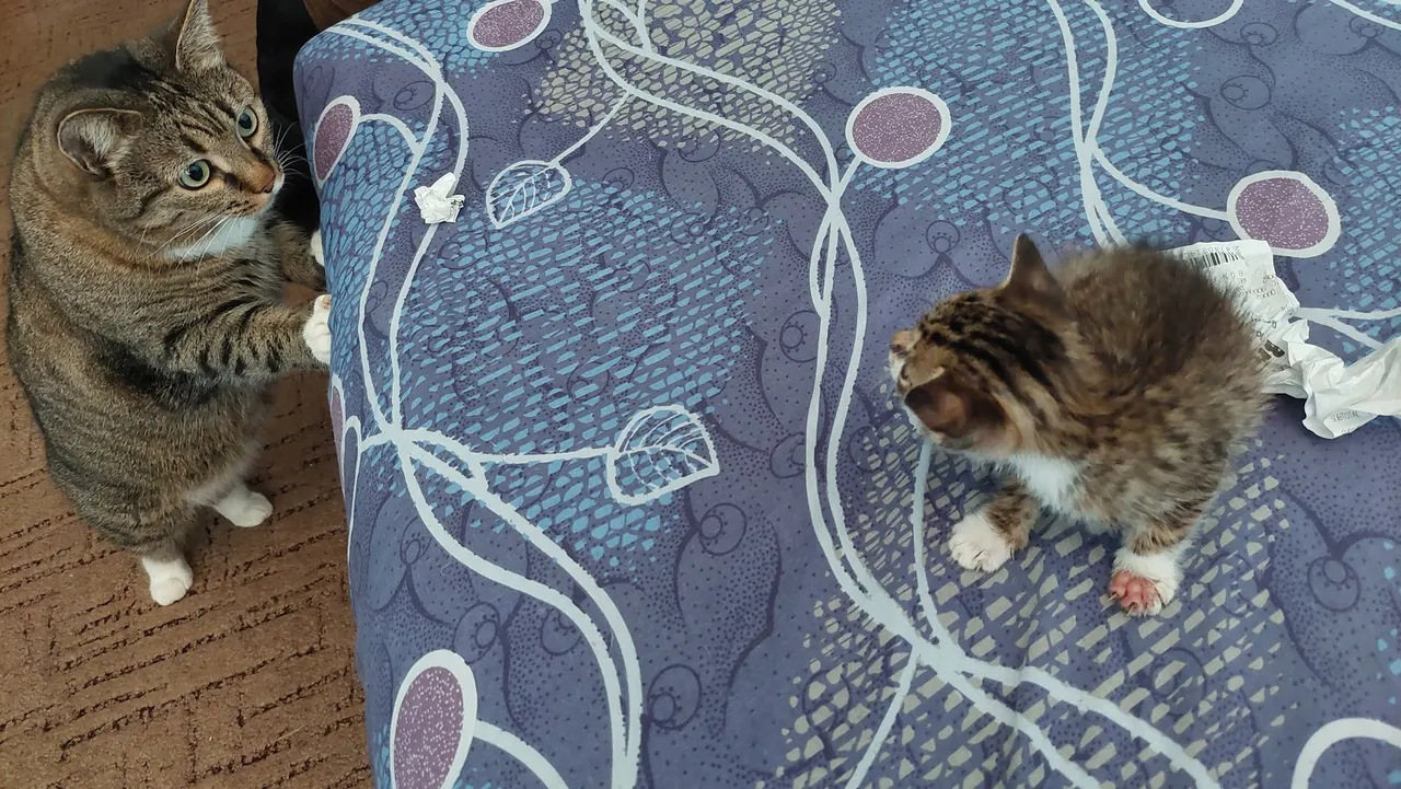 20220807_124909.jpg