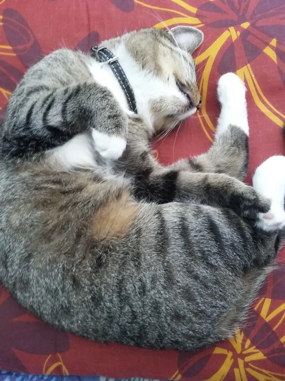 20160709_105044.jpg