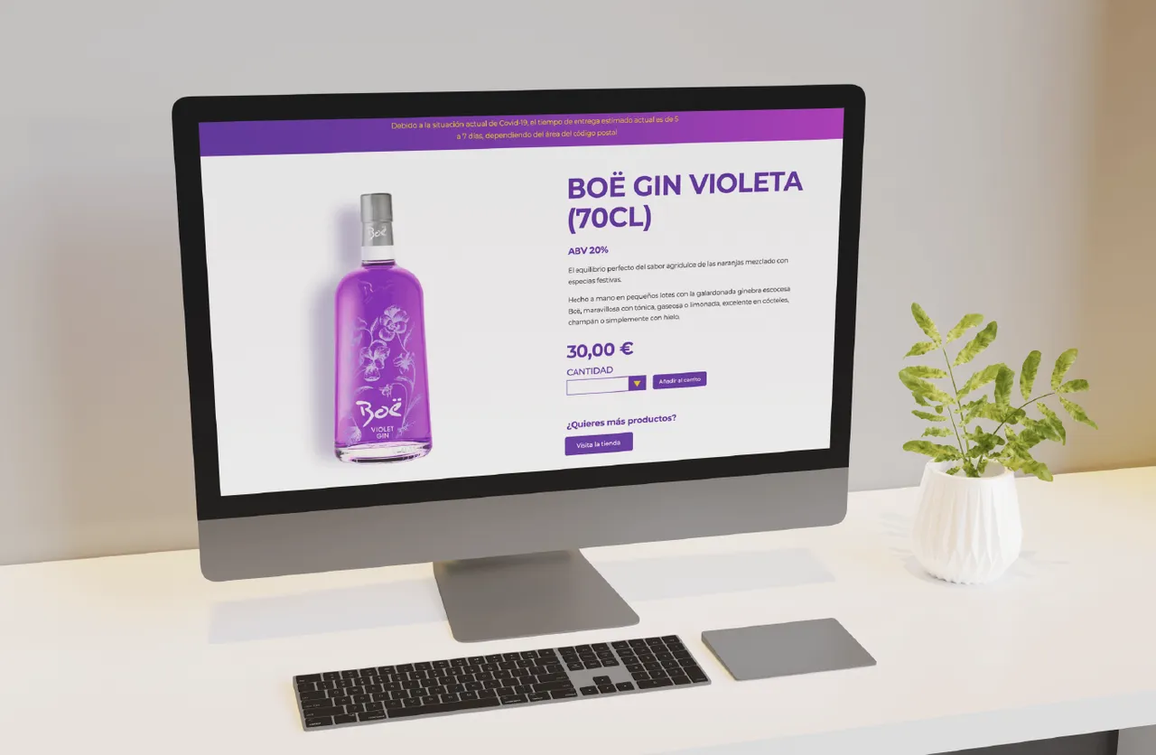 Presentación - Boë Gin _14.png