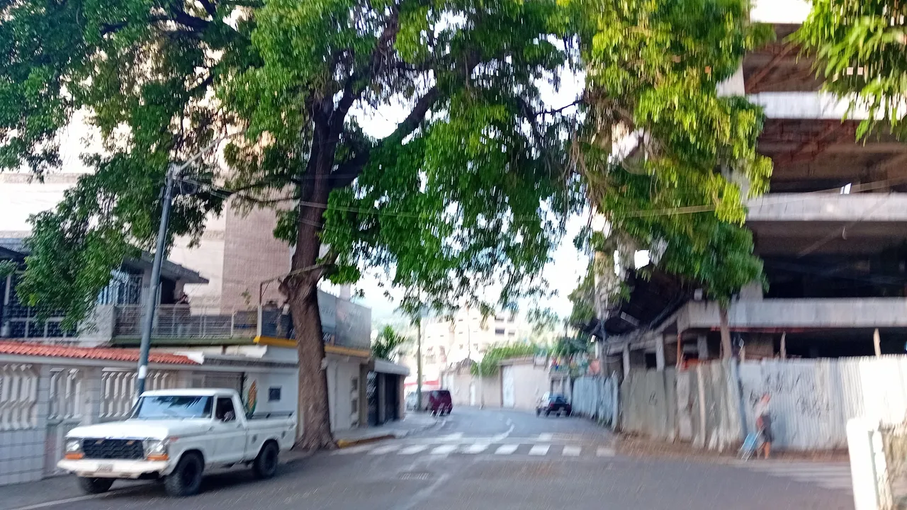 20250531_065408.jpg
