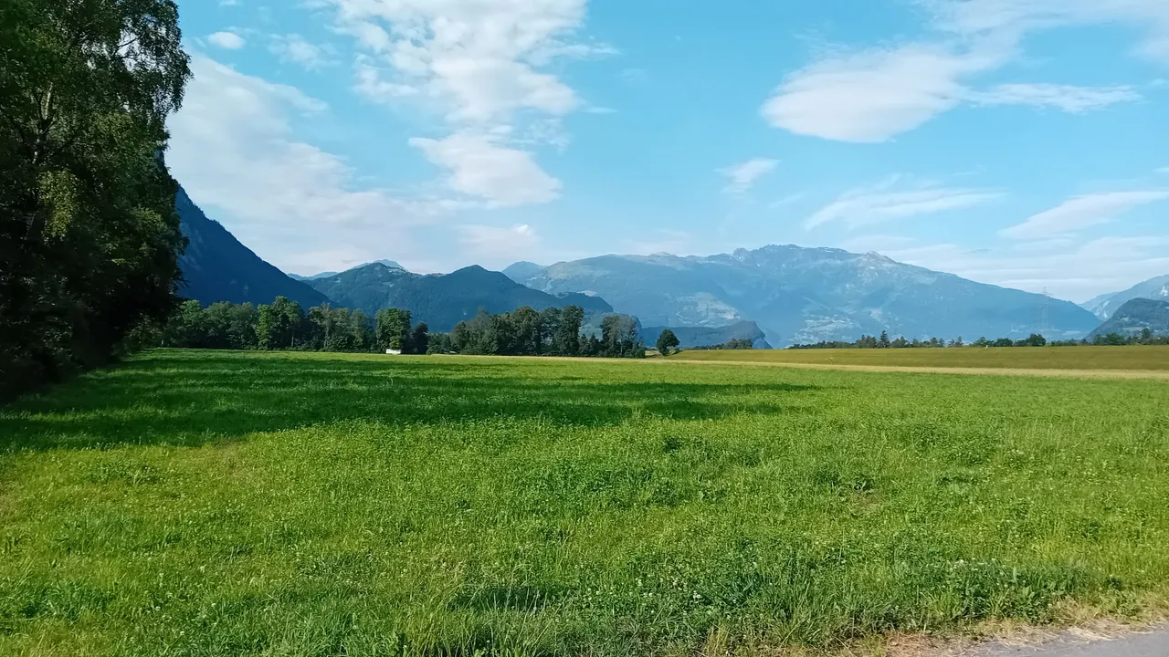 20250623_080604.jpg