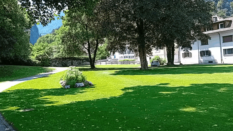 GIF_20250704_043025_661.gif