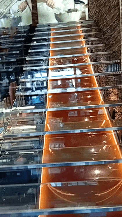 GIF_20250622_110803_873.gif