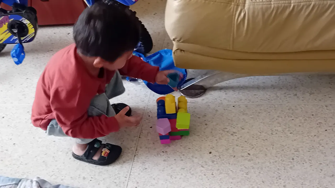 20250427_095052.jpg