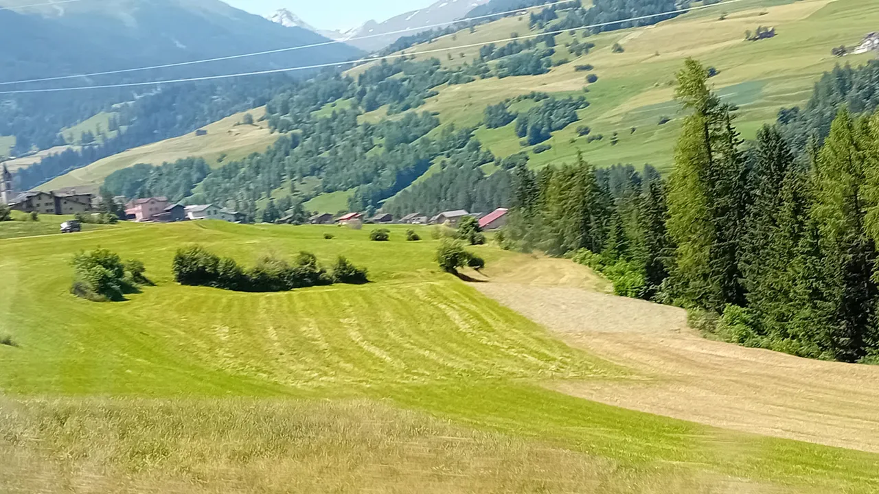20250620_114053.jpg