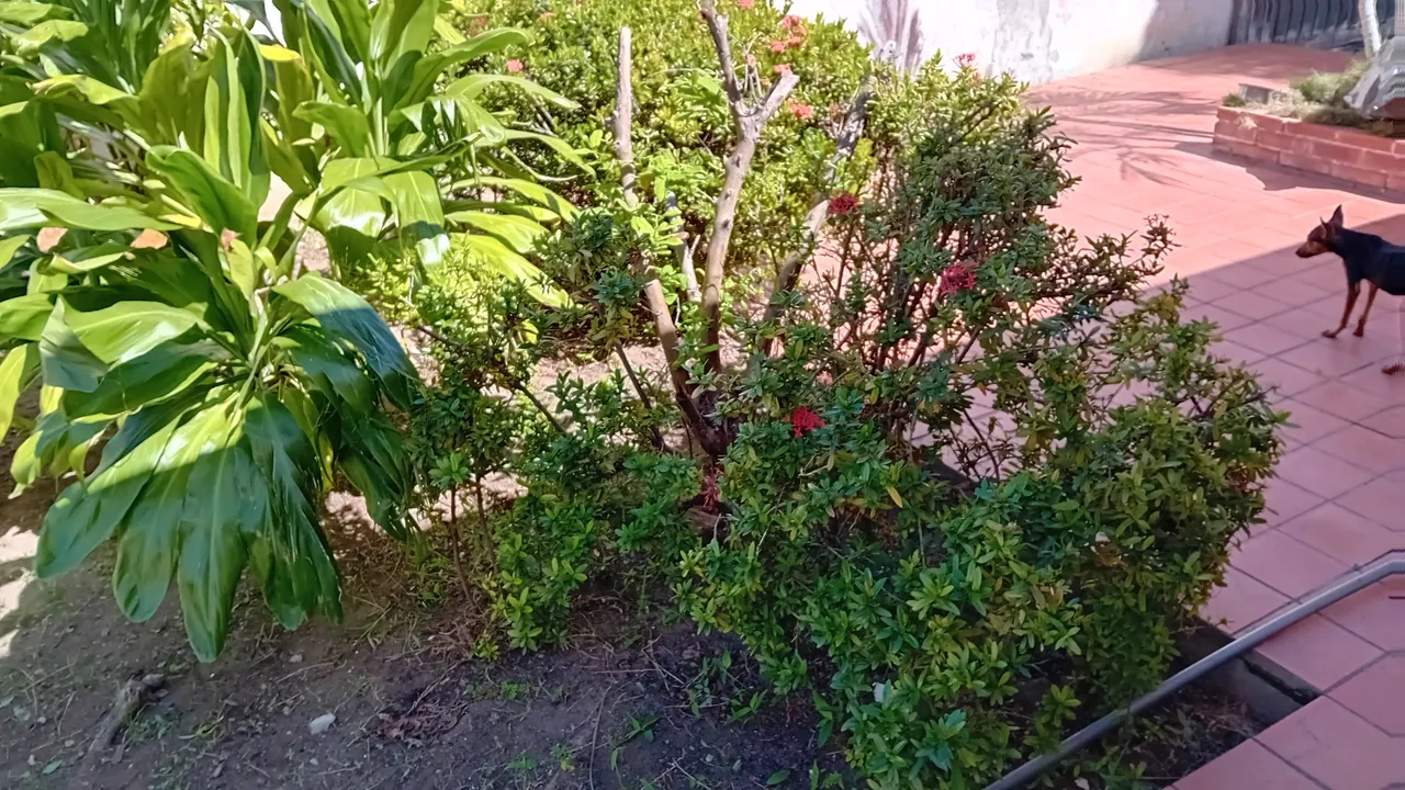 20240111_112116.jpg
