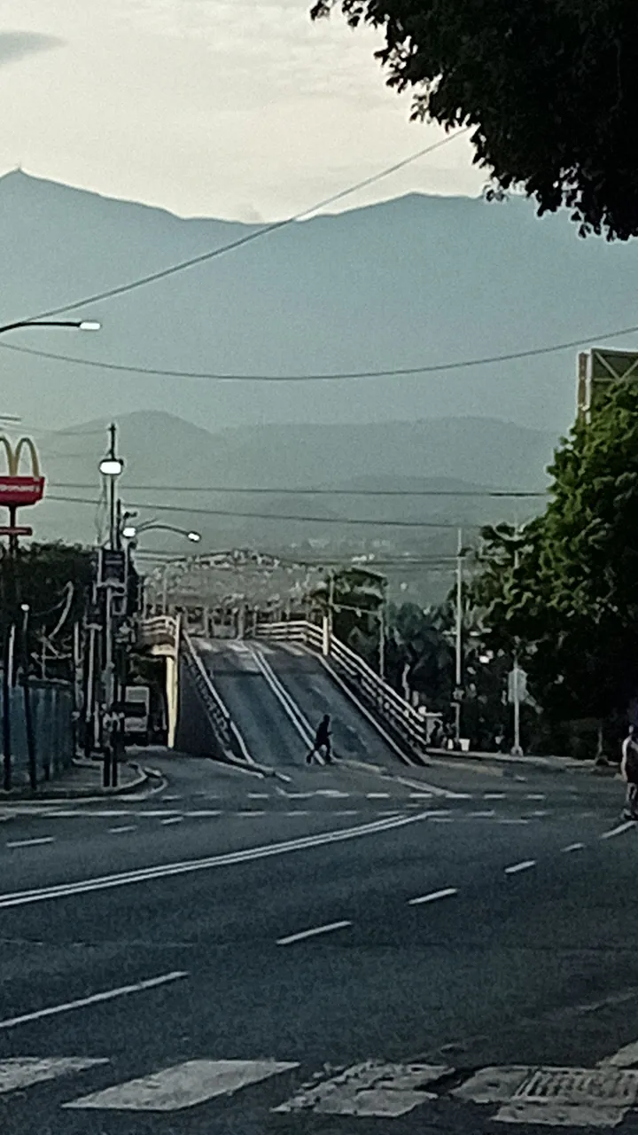 20250531_065249.jpg