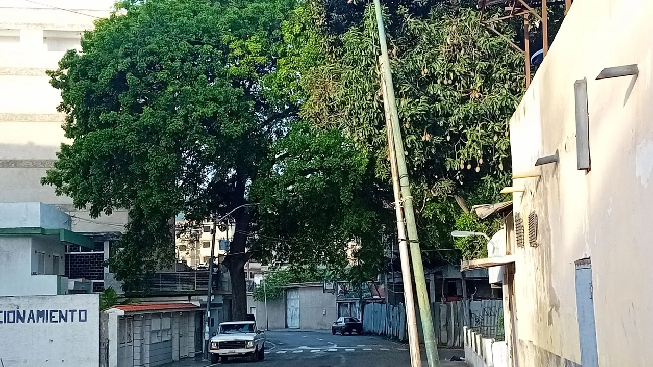 20250531_065310.jpg