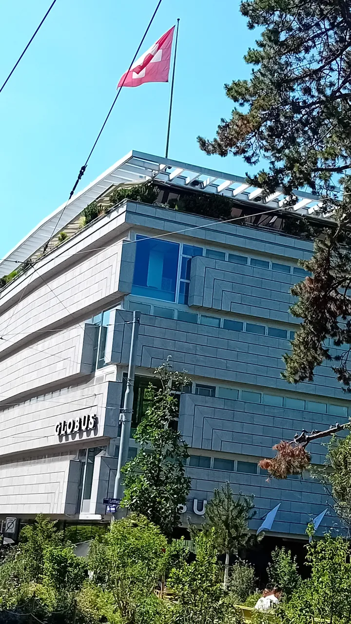 20250619_155225.jpg