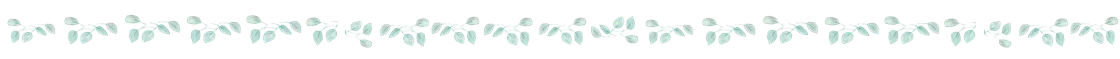 plantita.png