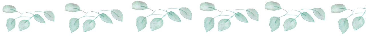 planta.png