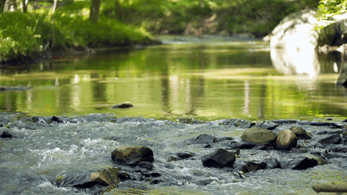 Green Nature Simple Clean A day in My Life Intro Youtube.gif