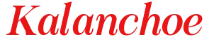 generatedtext (3).png