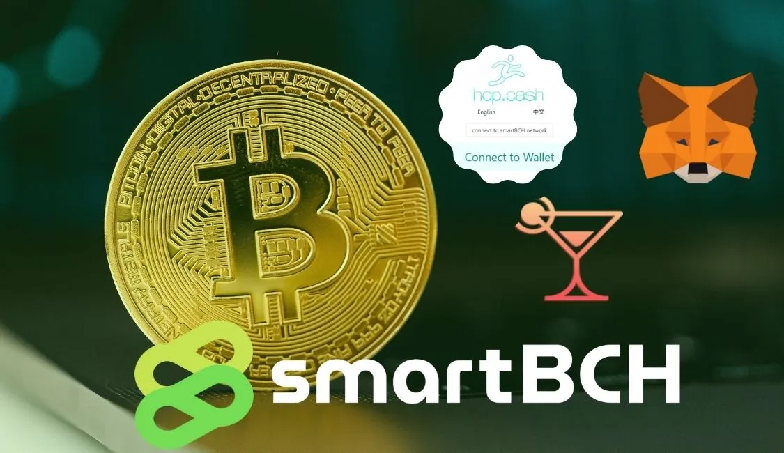 Smart BCH(1).jpg