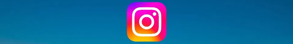 instagram birds-3070994_960_720.jpg