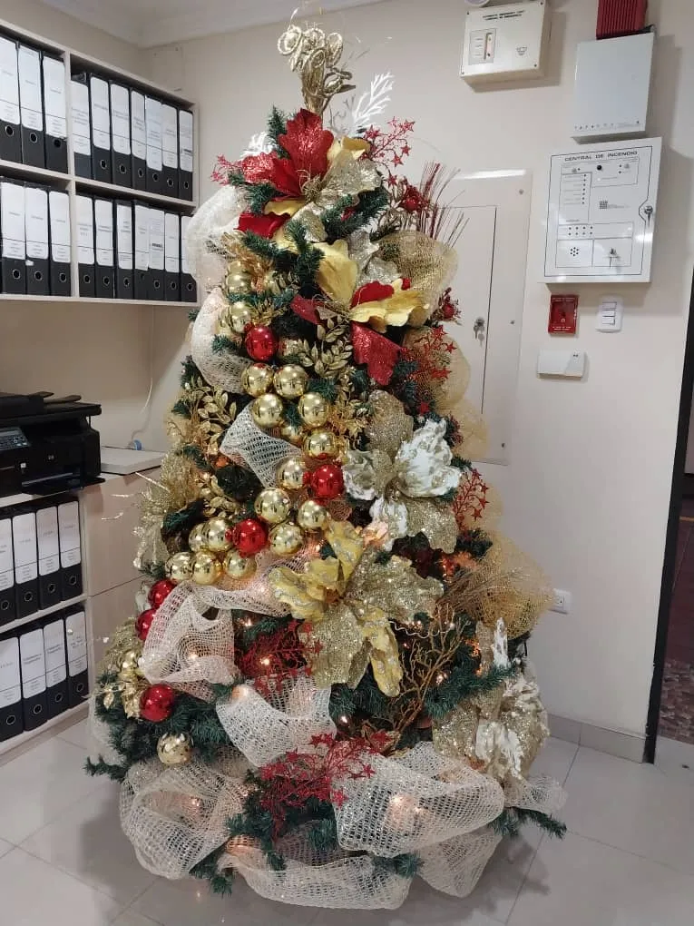 arbol.jpeg