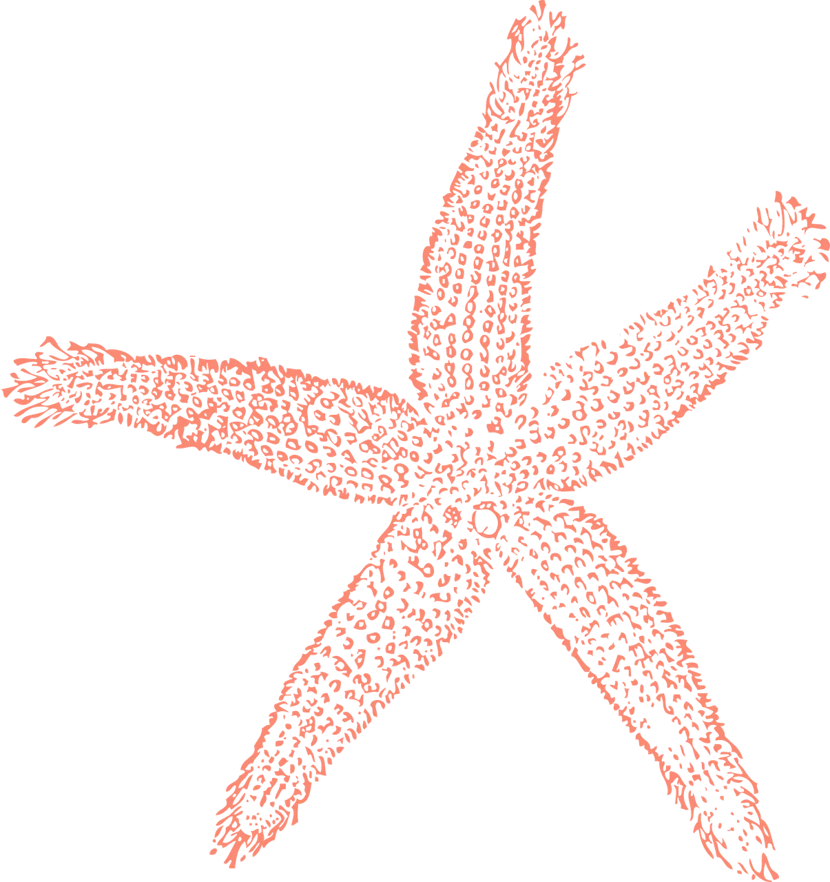 starfish-307293_1920.png