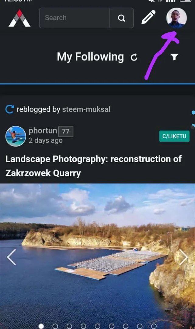 hive14.jpg