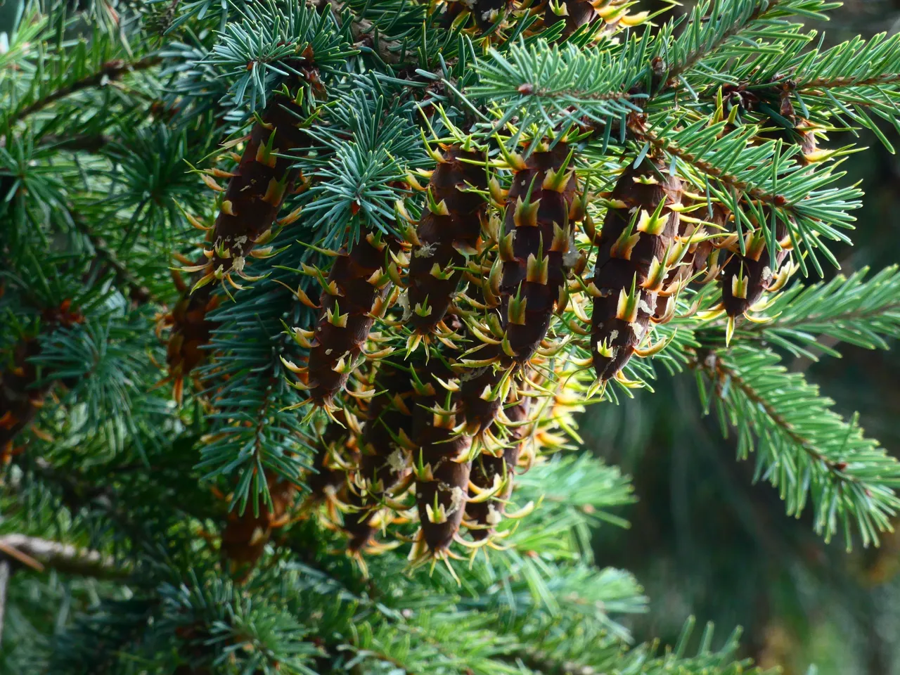 P1500097.JPG