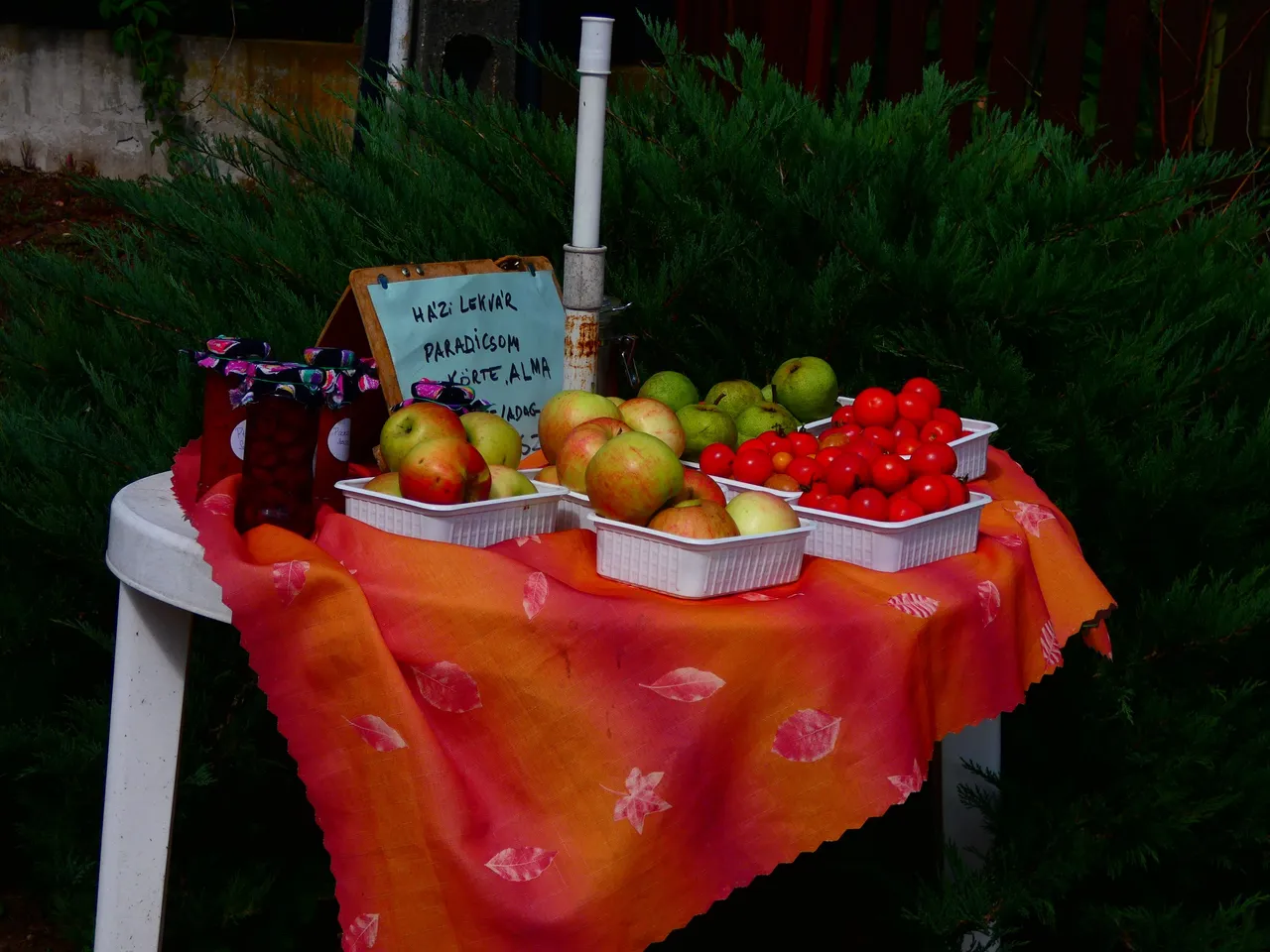 P1500099.JPG
