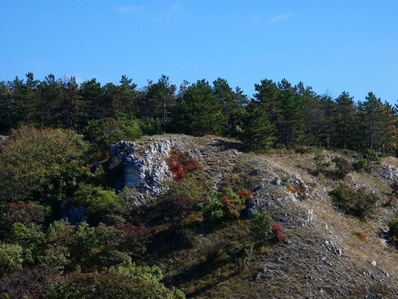 P1380518.JPG