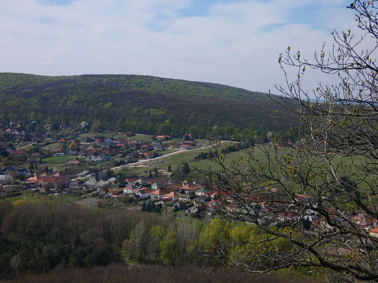 P1450863.jpg