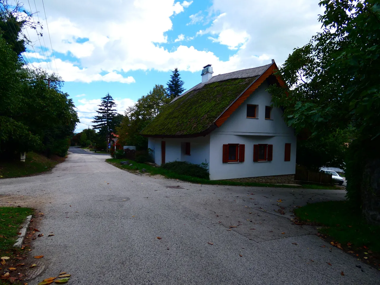 P1500088.JPG