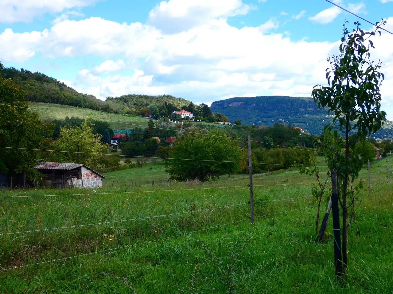 P1500098.JPG