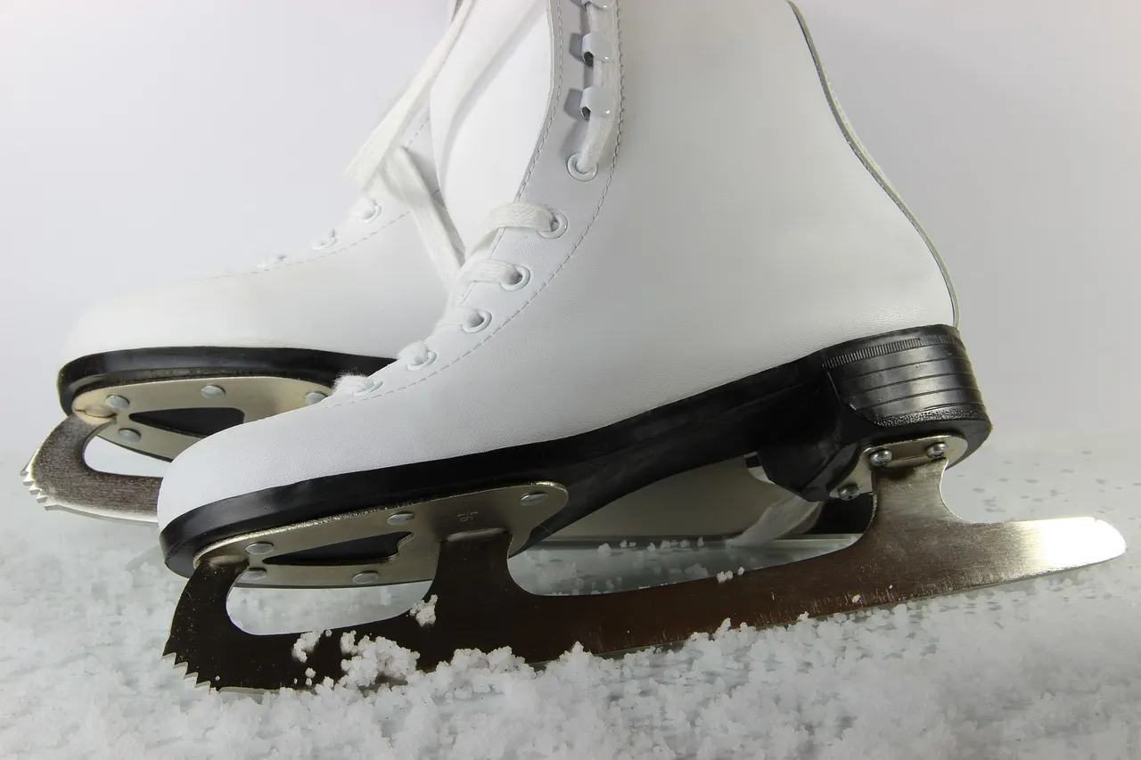 skates-3623008_1280.jpg