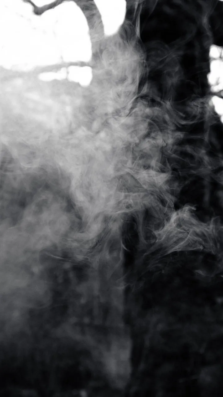 smoke (1 of 1).jpg