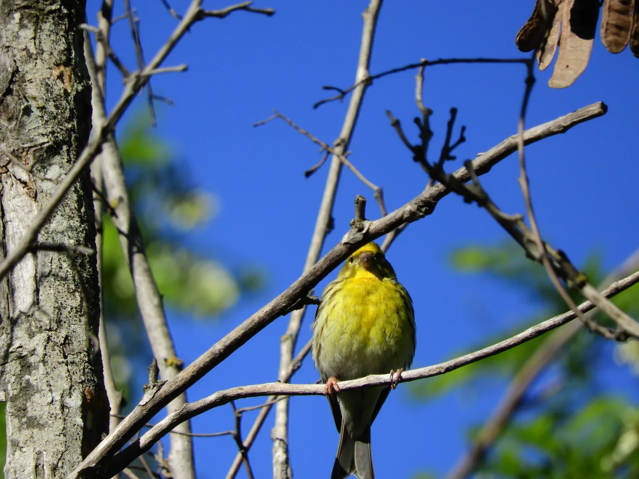 DSCN3728.JPG