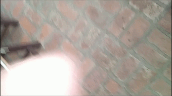 gif 7.gif