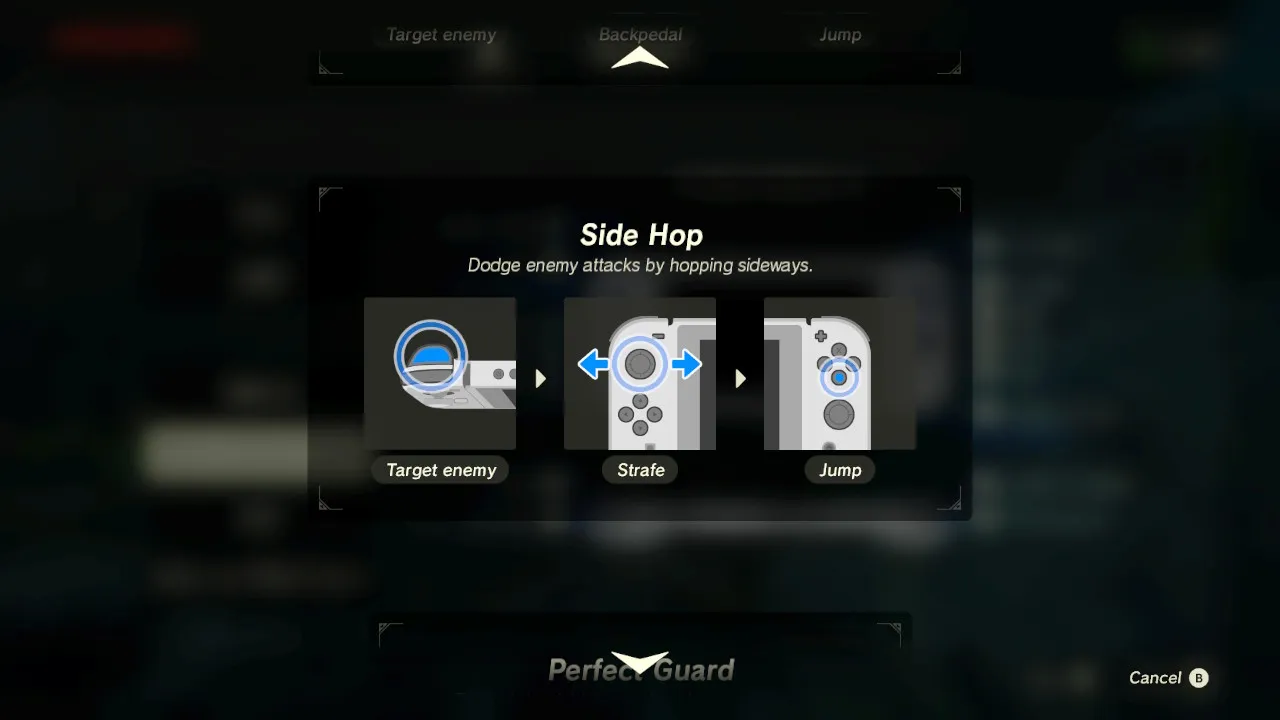 ability controls.JPG