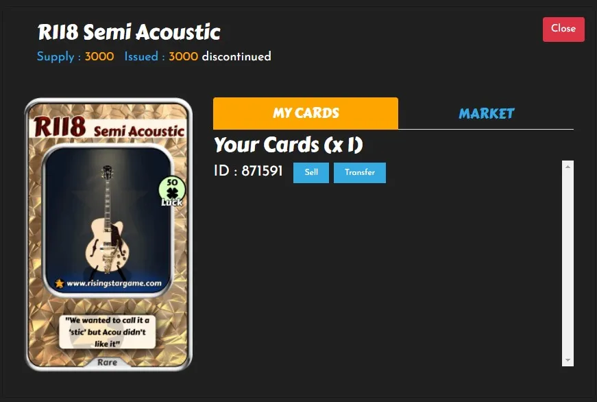 r118 semi acoustic.jpg