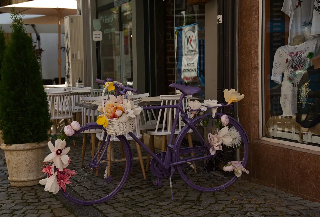 _DSC4988.jpeg