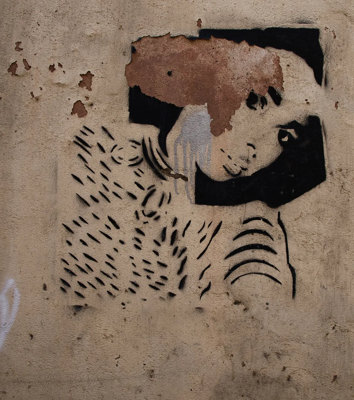 _DSC7216.jpeg