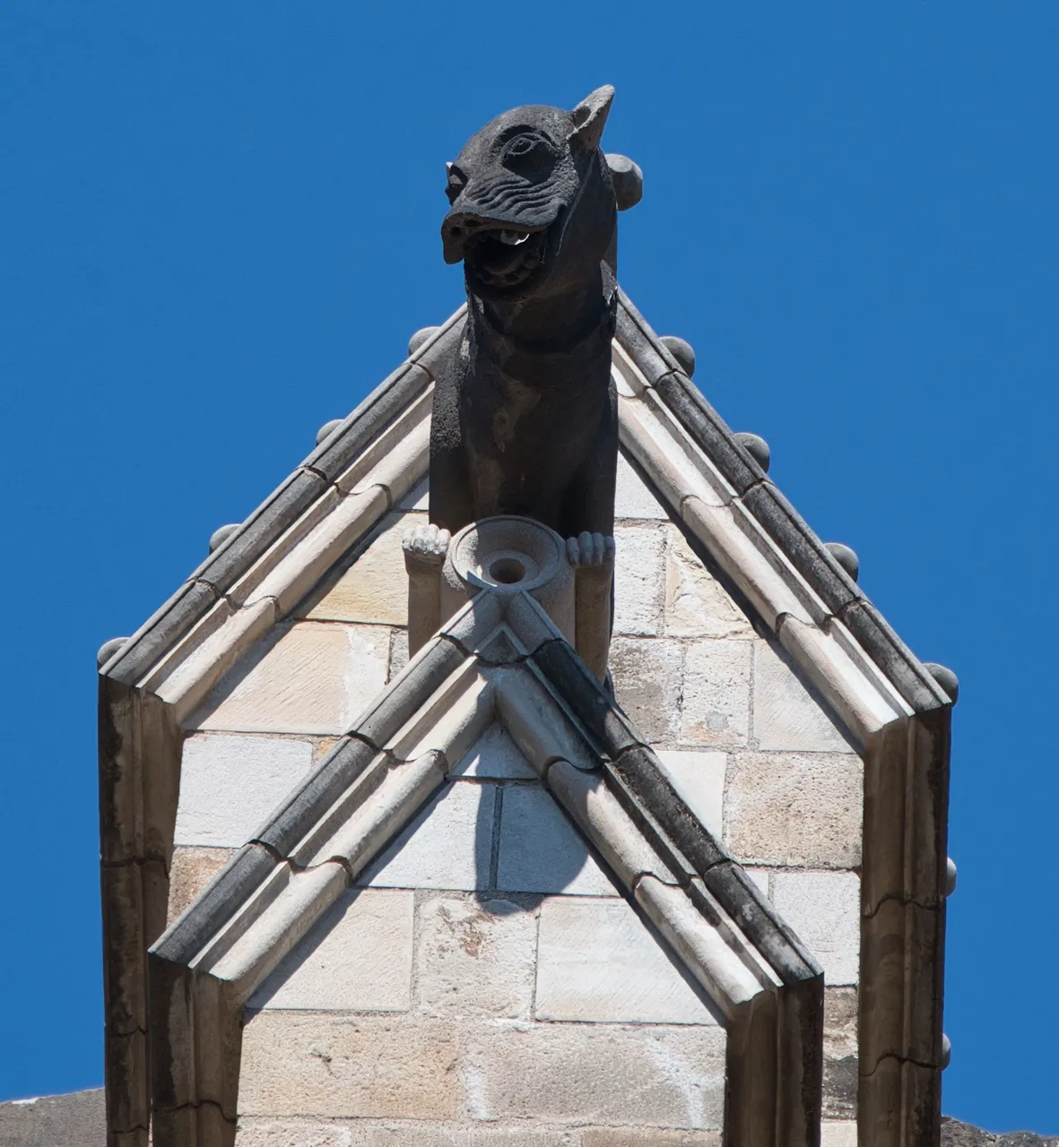 _DSC1951.jpeg