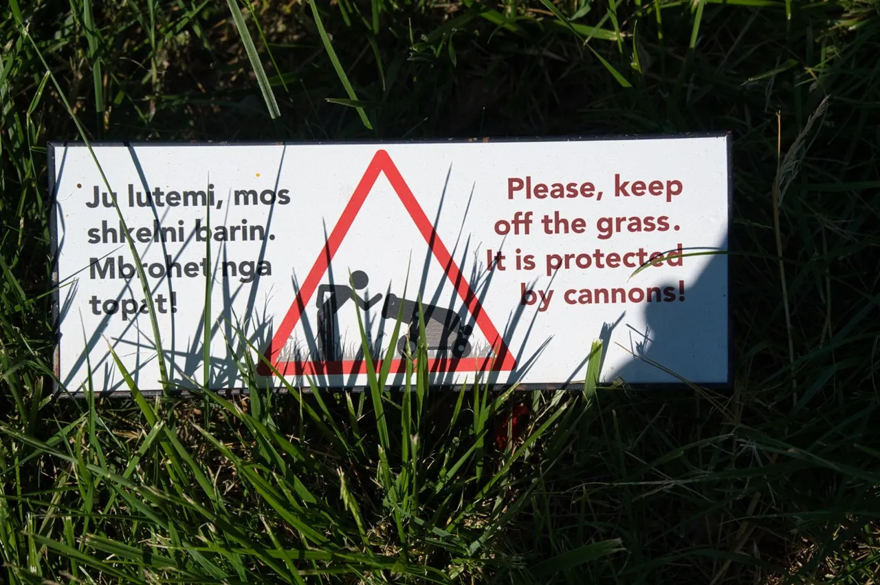 _DSC3696.jpeg